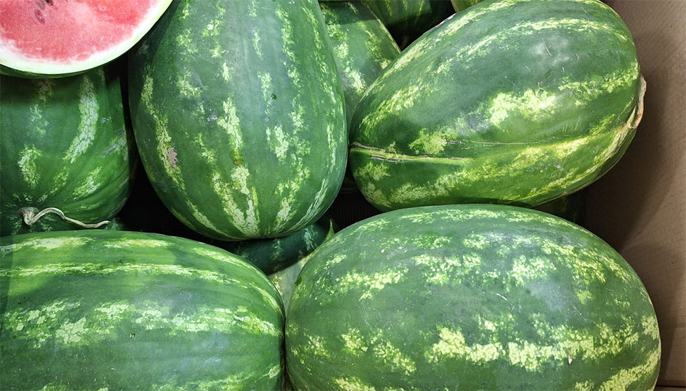 Anguria - Mantova - 0,80/0,90 euro al chilogrammo